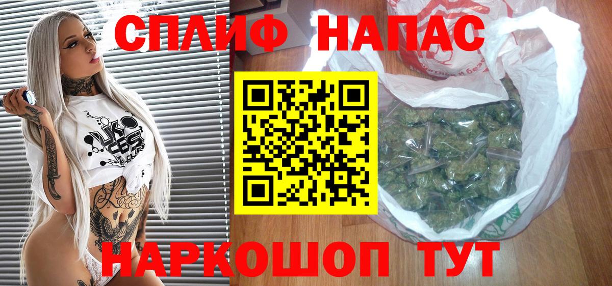 Канабис план Астрахань